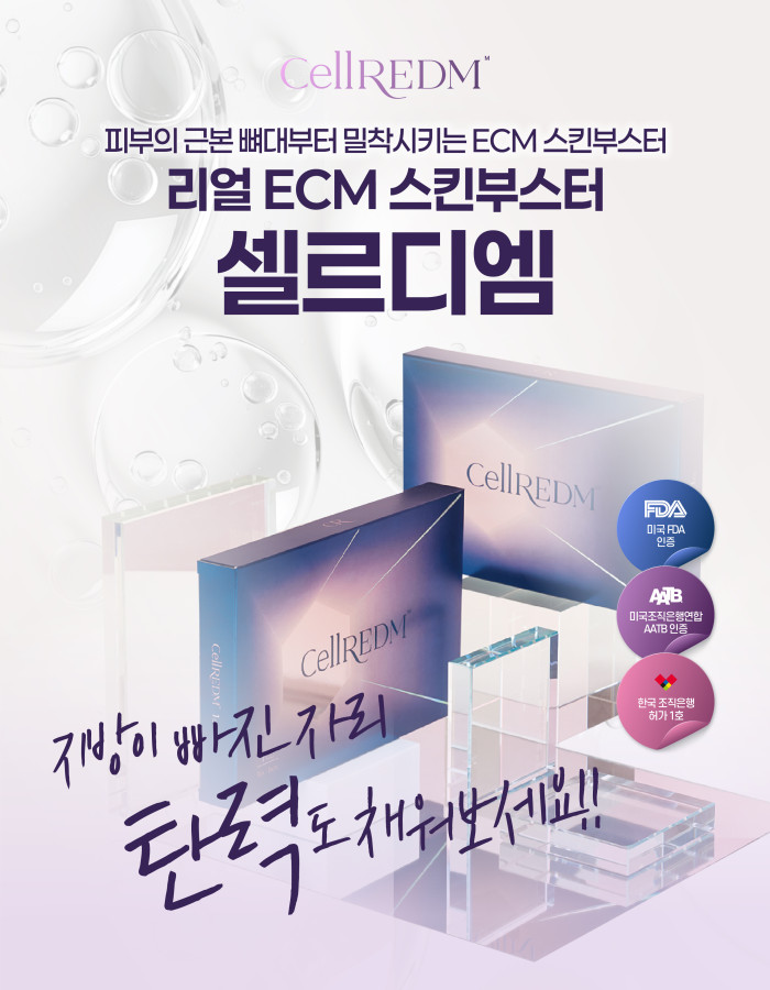 셀르디엠 런칭